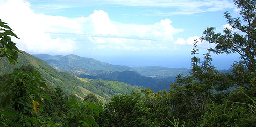 Blue Mountains